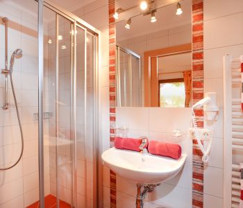 Gasthaus-Franzl-Ellmau-Kapellenweg-10-Anita-Hochfilzer-Appartement-Badezimmer.jpg